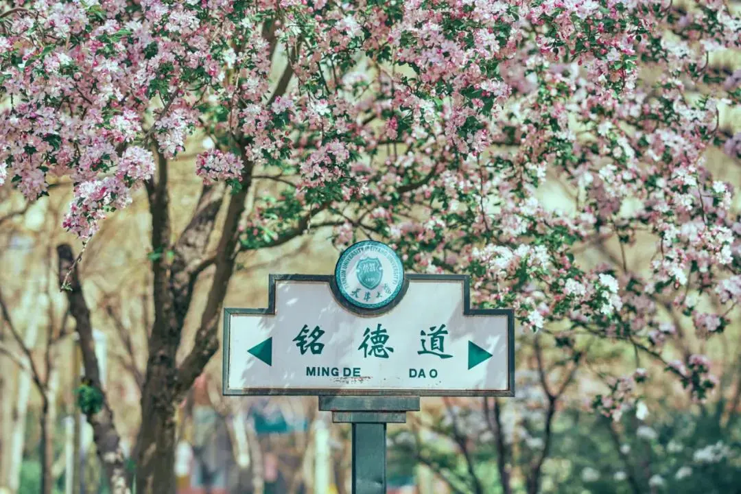 天津大学，为什么是中国最有“侠气”的大学？