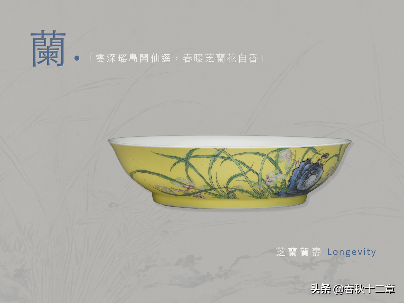 香品｜香料漫谈之兰为何物