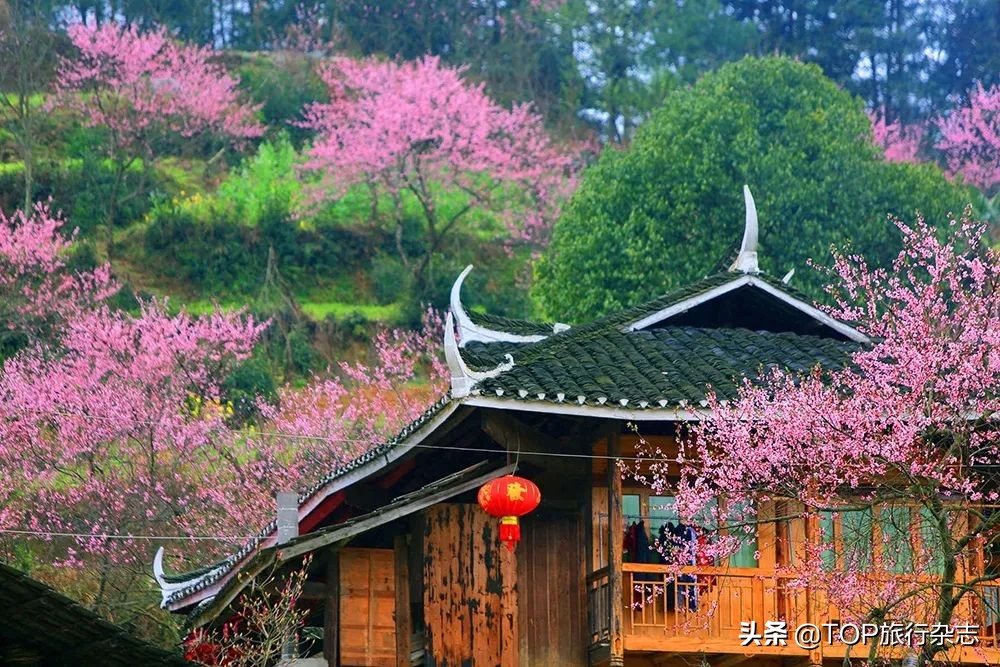 这座湖南小城有着华南地区最大越野赛车基地，真人版“速度与激情”杠杠滴