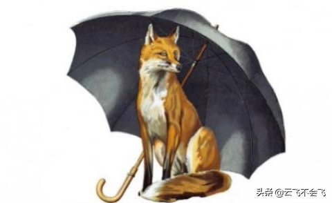 Hunter品牌：雨天出行，时尚与防护兼备的必备之选
