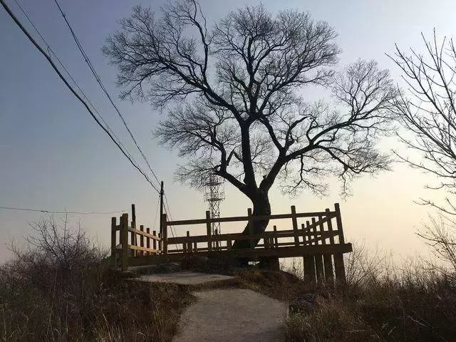 辟邪最厉害的是什么（盘点民间能避邪的物件）