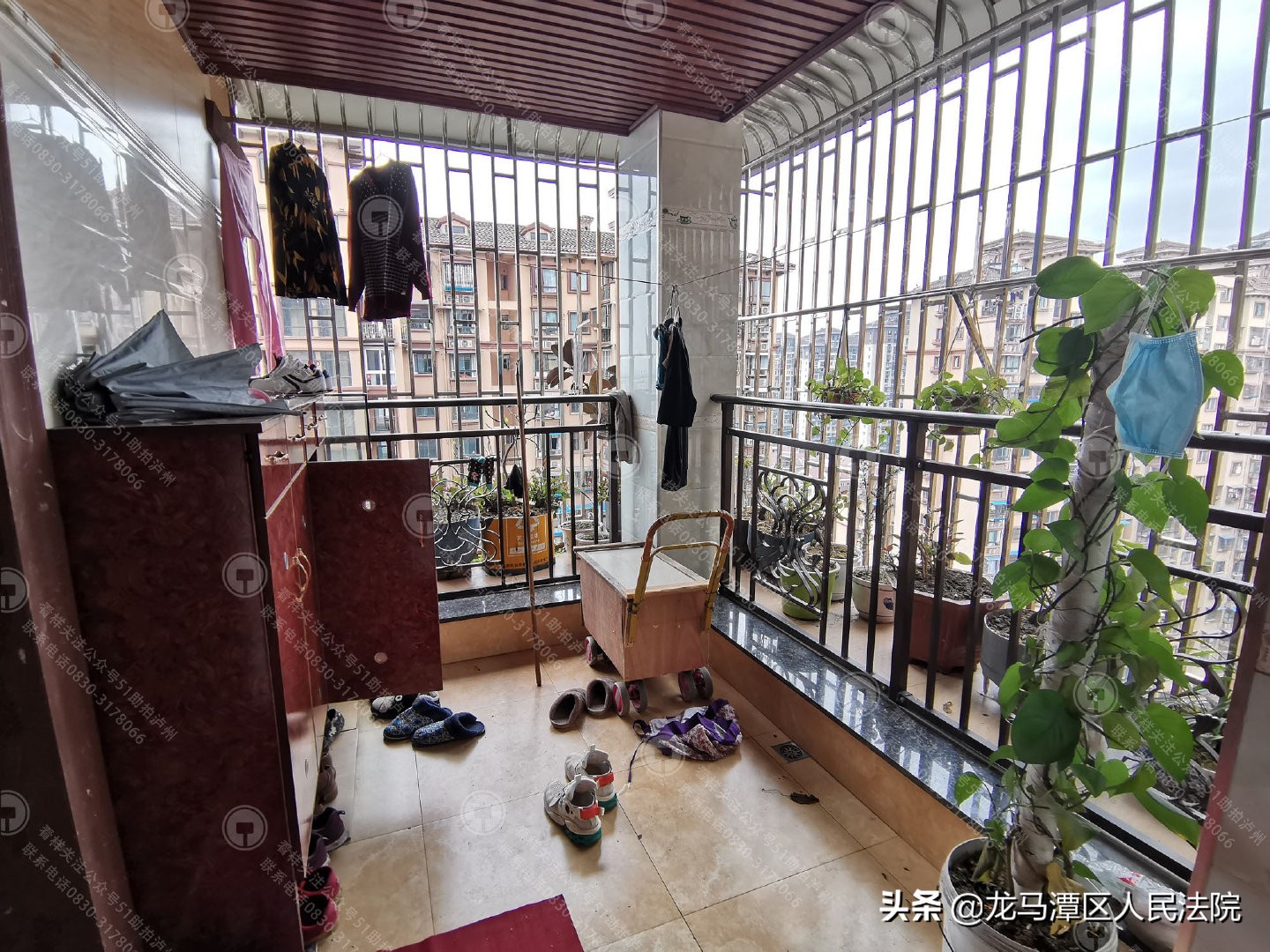 龙马潭法院：2020年春夏系列，酷炫开售！赶快来拍下你心中所爱吧！