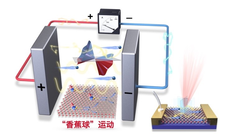抗癌、碳中和、太赫兹，最近，东华大学9项科研成果引起国际关注！