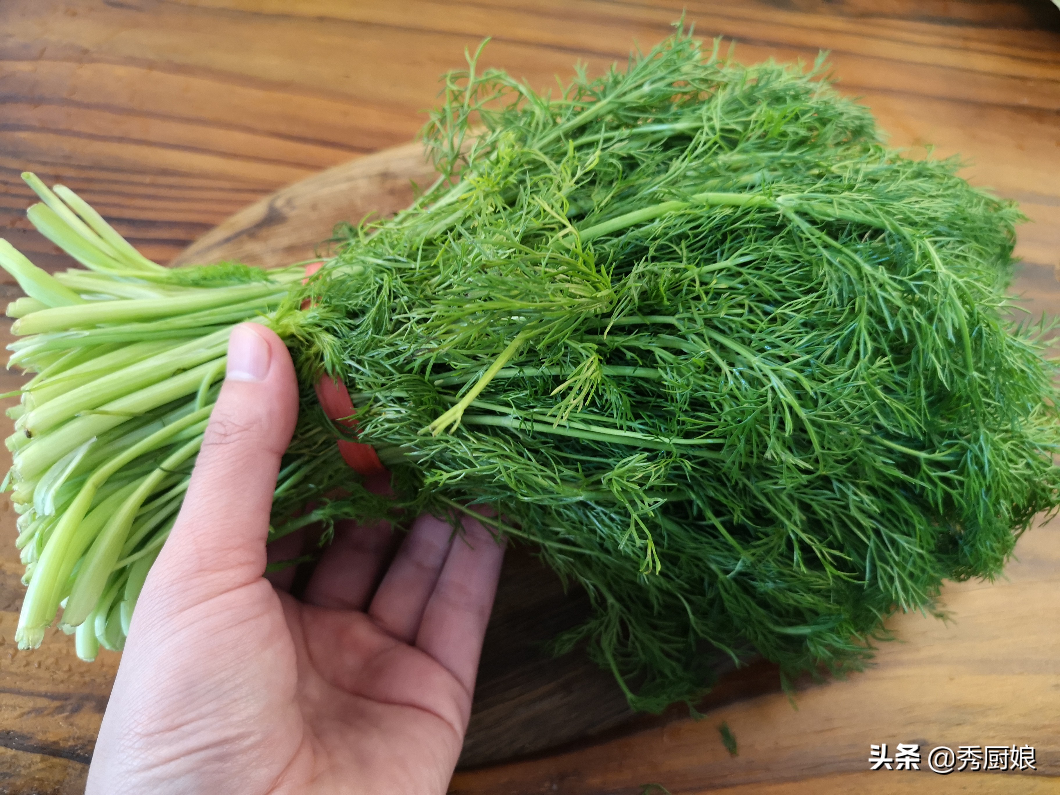 小茴香饺子小茴香饺子的功效与作用