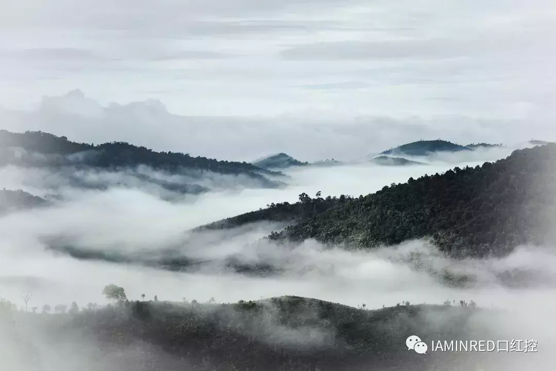 人间不值得？可是还有一万块的面霜等着我！