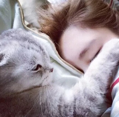 新手养猫，这些问题你解决了吗？