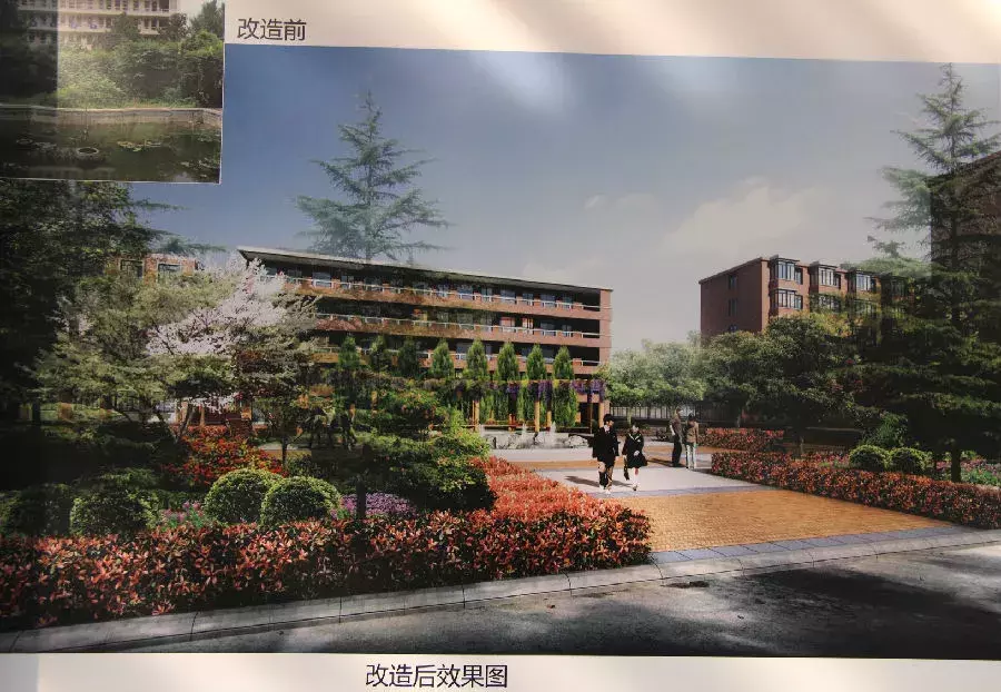 关注小升初 | 合肥行知学校重要信息汇总（附三年指标情况）