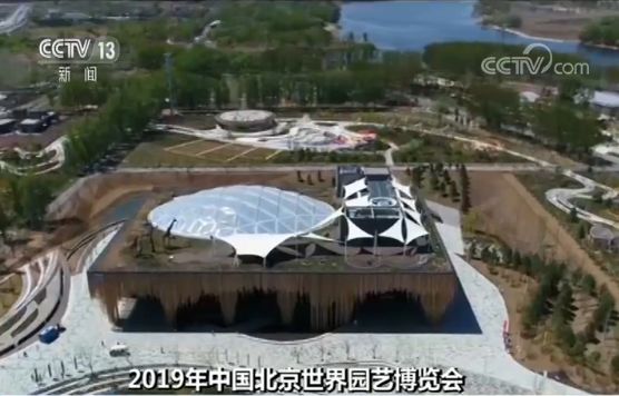 什么树最高？什么树会“武术”？植物也有大智慧