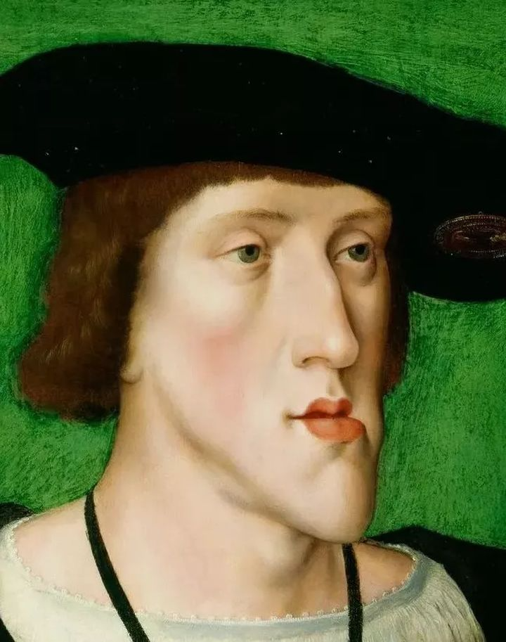 回交,近亲结婚,200年乱伦史制造一堆鞋拔子脸,葬送了整个王朝