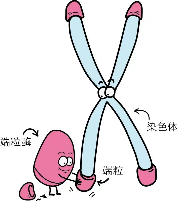 100块的艺术家居、几十块的好用面膜...520我想送自己这些东西