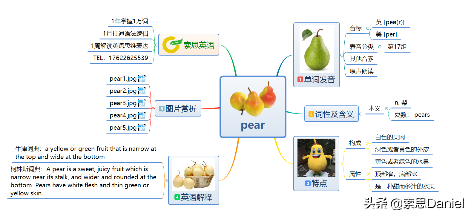 梨的英语发音解析——索思英语解码单词教学