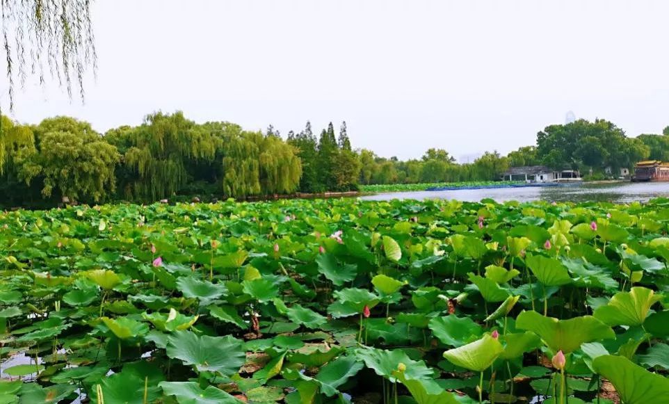 山东体育学院，四年时光荏苒，不会说再见