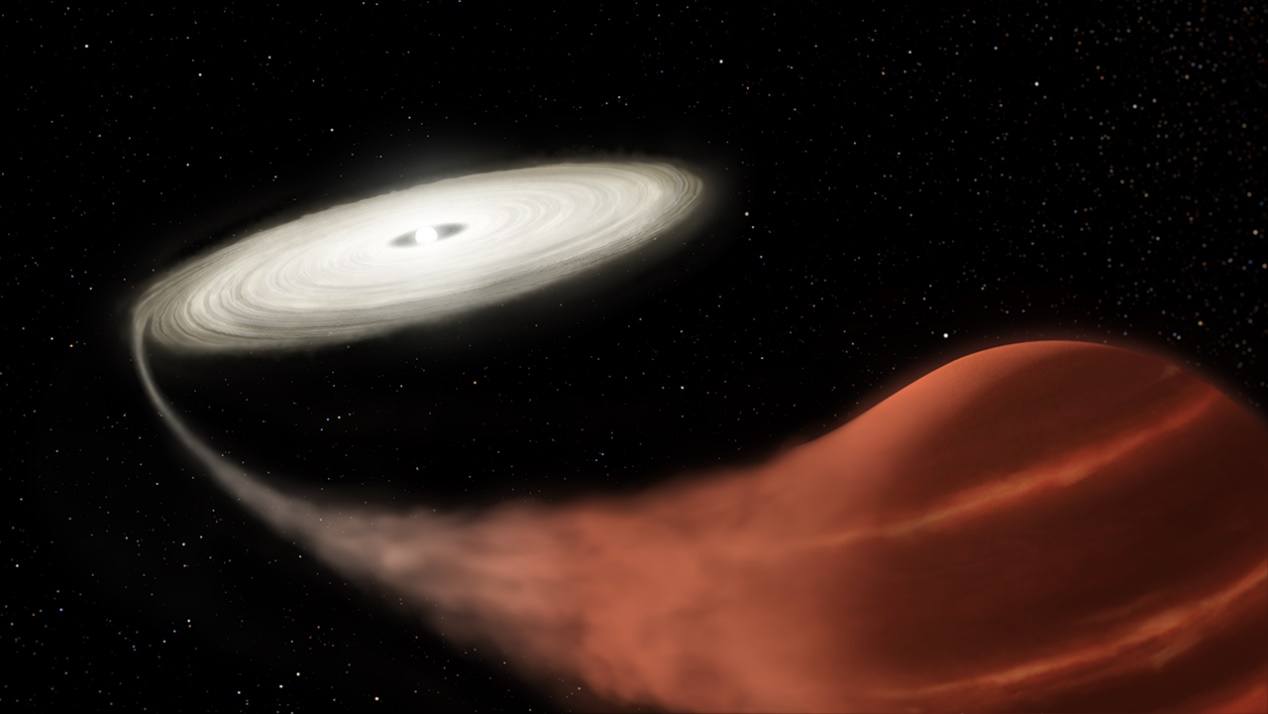 那些冷却速度较慢的白矮星，谁是它们的保温源？氖还是铁？