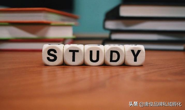 社群营销经典案例解析：十大成功品牌社群运营策略与实践经验分享