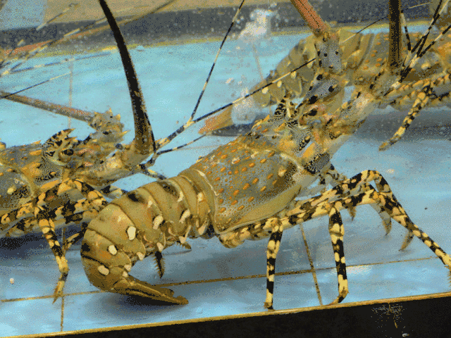 640_480gif 动态图 动图