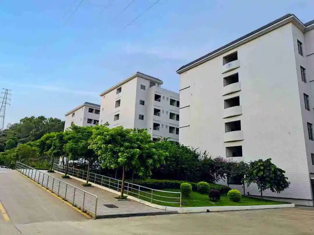 高职高考必看｜广东南方职业学院