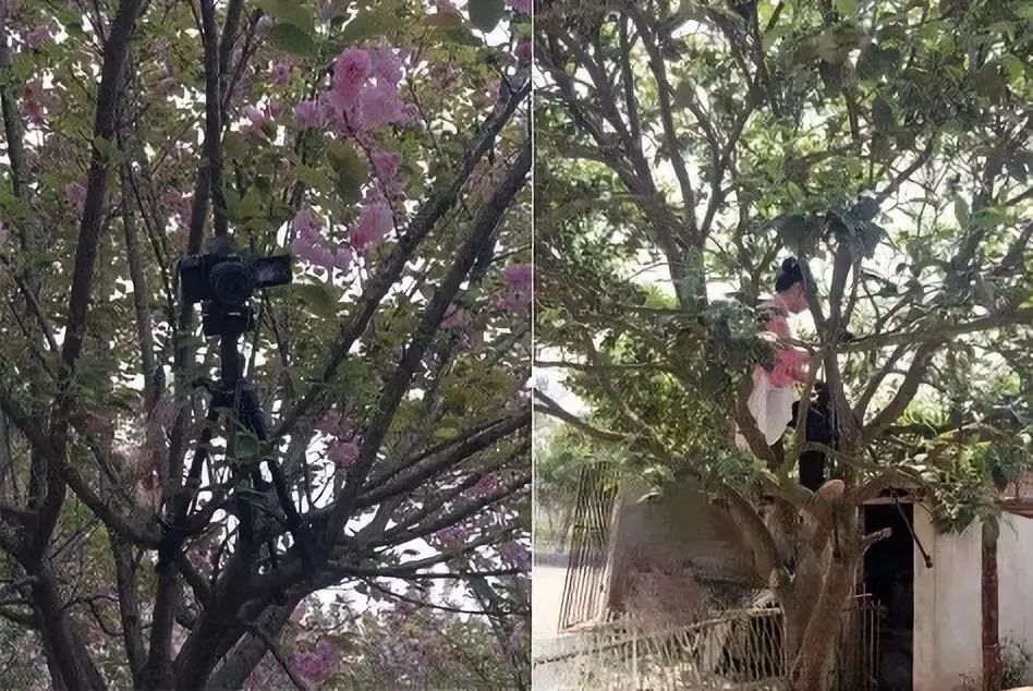 凭自己努力走红的8位女网红，一个比一个拼，有人因一条裙子爆火