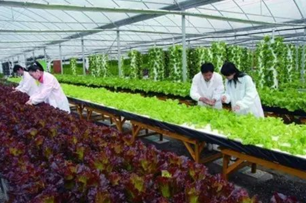 考研难度“很高”的4个专业，22届国家线恐再涨，学生们要注意