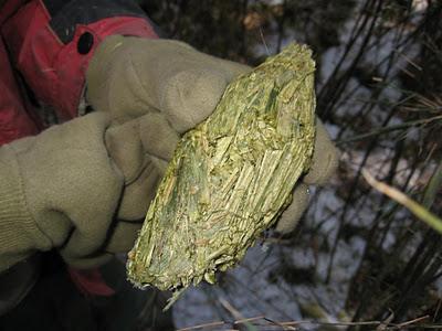 中国十款最贵的茶叶，龙井只排倒数第一！最贵的现为国家二级文物