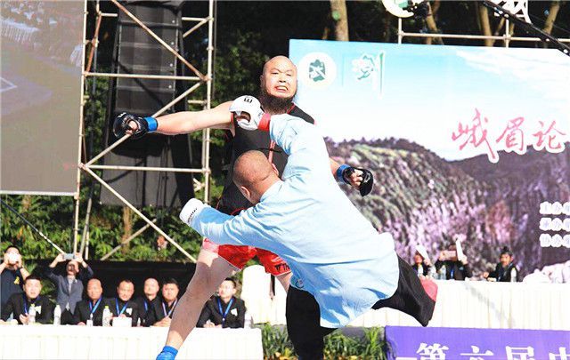 雷雷是谁(著名学者于建嵘：雷公是谁？网友回复传神刻画太极雷雷之形象)