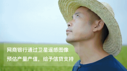 网商贷借款流程详解：网商银行卫星遥感技术助力风控新突破