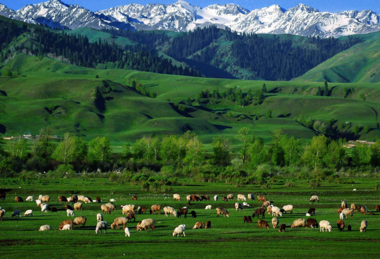 新疆大学怎么样（在我国新疆）