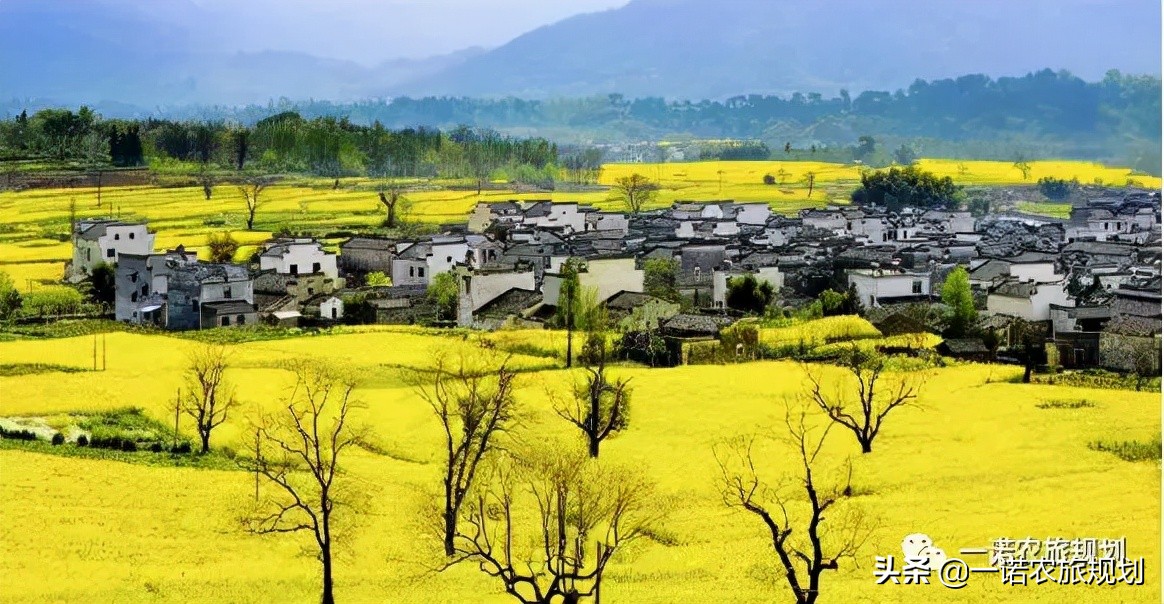 33个乡镇书记镇长如何看乡村产业兴旺？