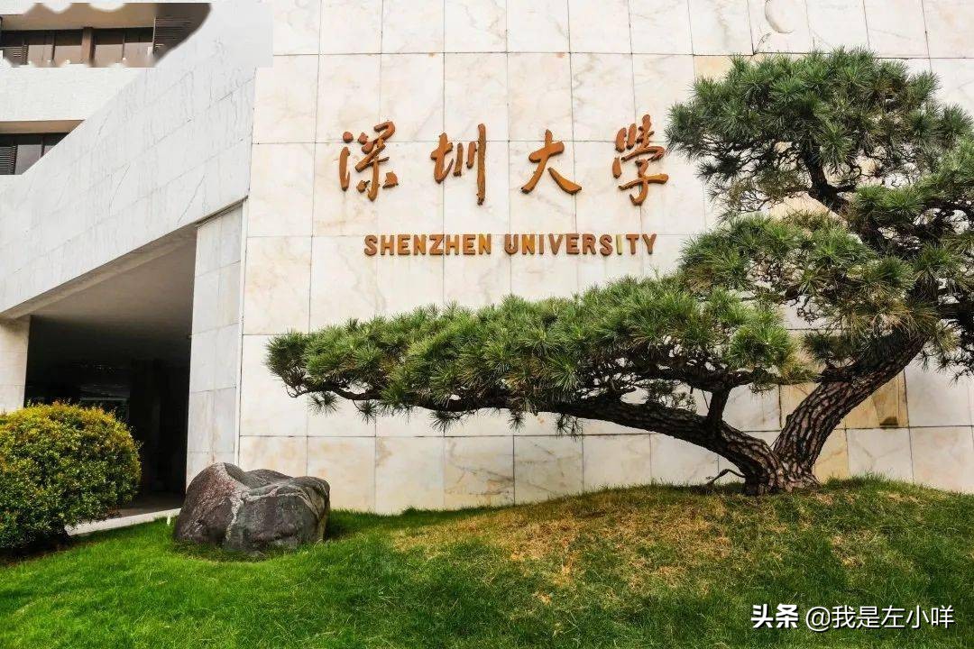 深圳大学成考专业有哪些？