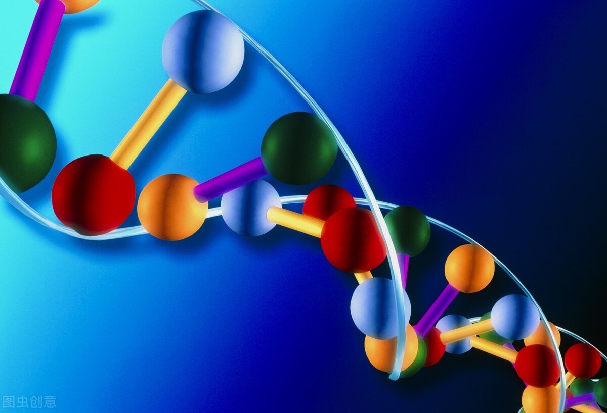 塞尔维特的代表作品(影响世界的十大顶尖生物学家)