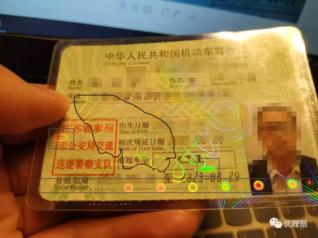 驾驶证真伪,驾驶证真伪查询系统官方网