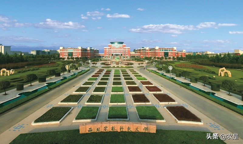 胡建宏，西北农林科技大学教授，博导，动物生殖生理专家