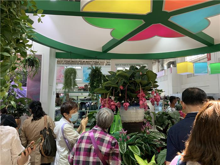 一起盘点北京国际花展上的亮点花卉产品