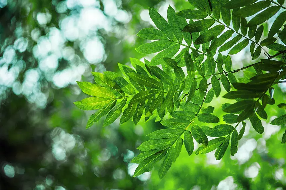 小短句 | 让你瞬间满血复活的正能量句子