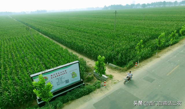 农民在永久性基本农田里挖鱼塘栽果树违法，看看你家耕地是不是？