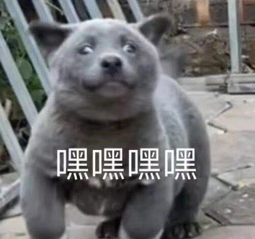 我命油我不油天！这款良心国产隔离霜yyds