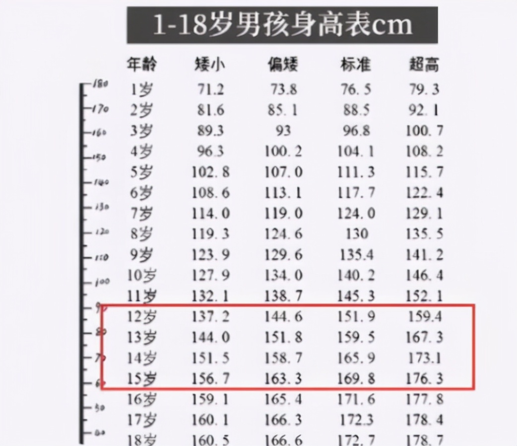 男生的身高将在什么阶段定型?原来是这个时期,家长要做好准备