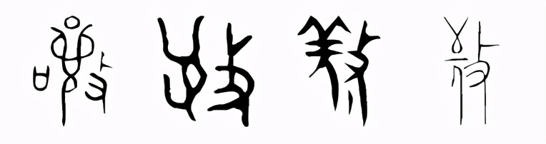 惊蛰，起来聆听自然的声音