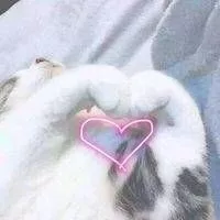 兵库县立大学（华南理工大学广州学院经济学院）