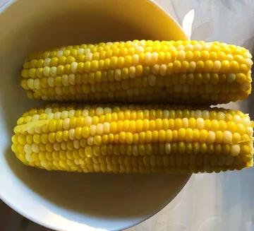 玉米是世界重要的粮食作物