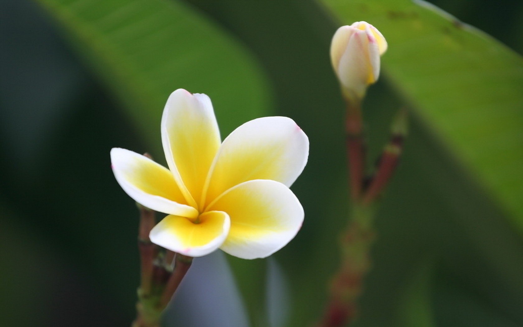 6月29日射手星座运势射手座9月27日运势 汽车时代网