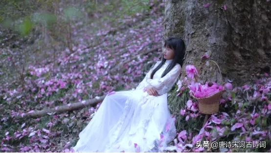 辛夷花：涧户寂无人，纷纷开且落