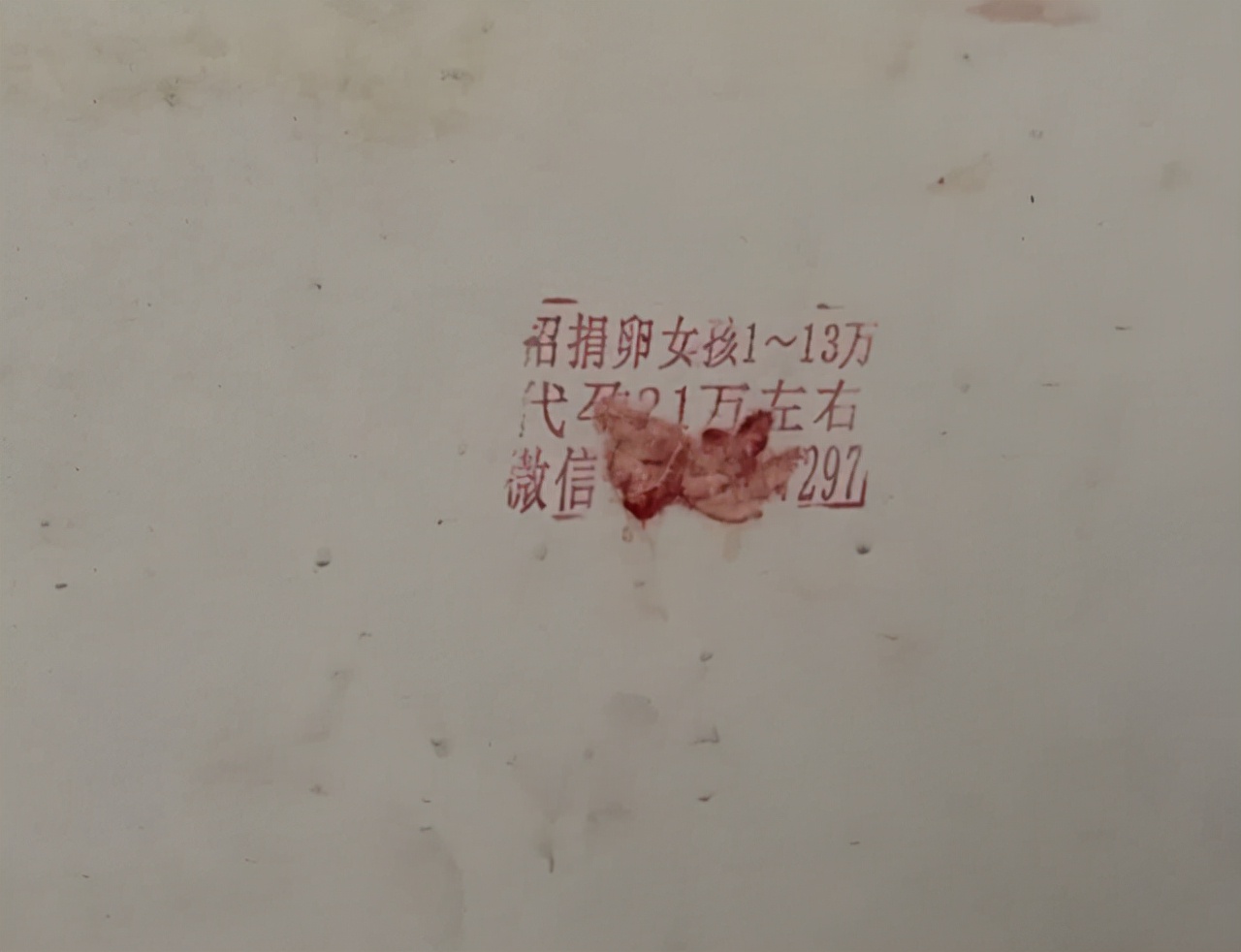 高校女卫生间出现代孕、捐卵广告，背后是女大学生对欲望的不节制