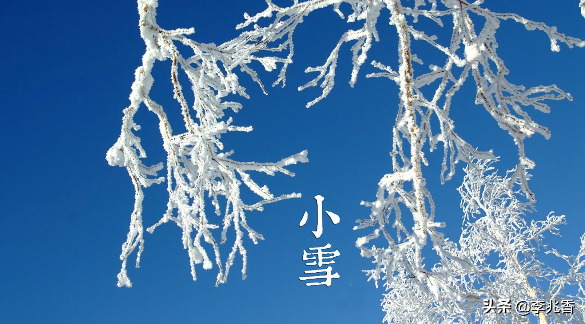 二十四节气之小雪祝福语大全，送去真诚的问候和关心