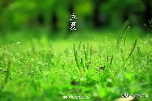 立夏快乐，立夏节气祝福图片带字，立夏图片带问候语精选