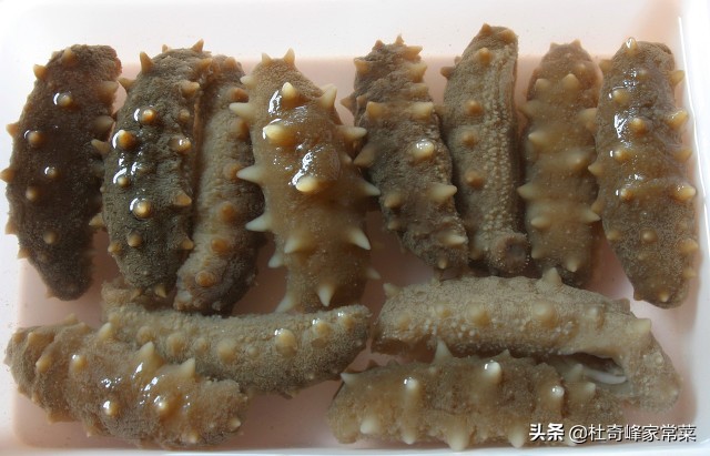 蔥燒海參做法,蔥燒海參做法視頻