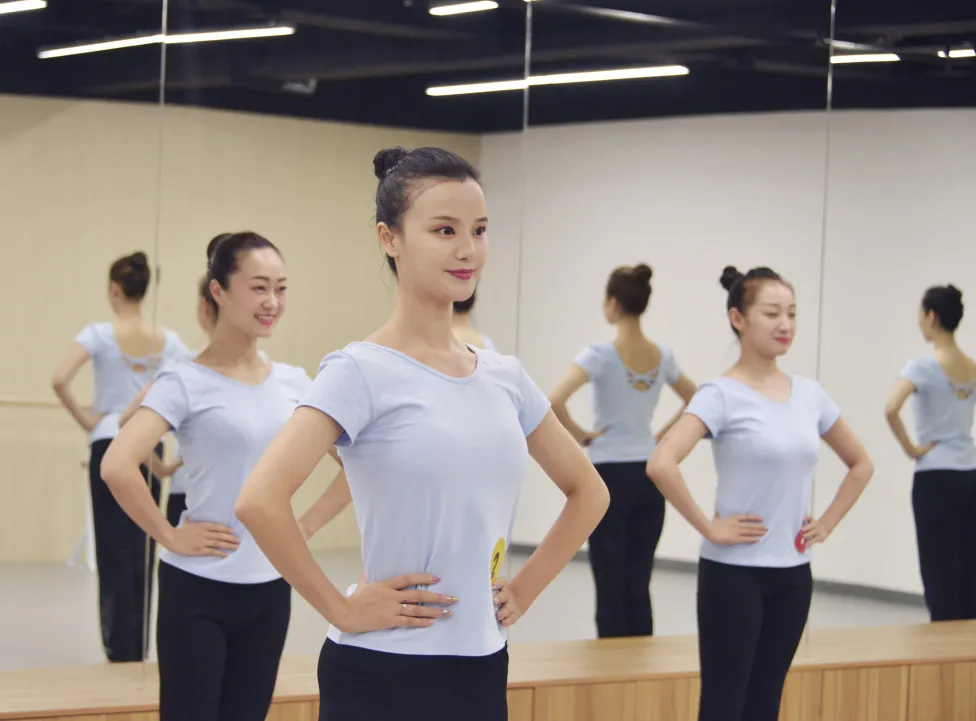 北京地区4-6级海内外高级教师培训精彩呈现