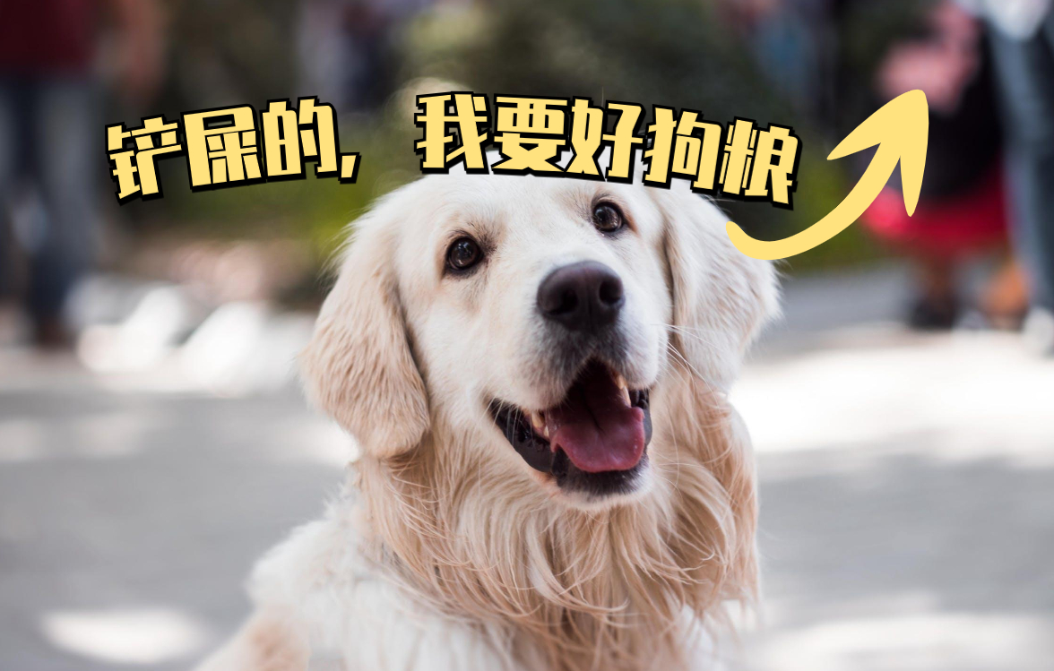 养狗禁忌：狗狗非常“讨厌”这些事，恨你是有原因的