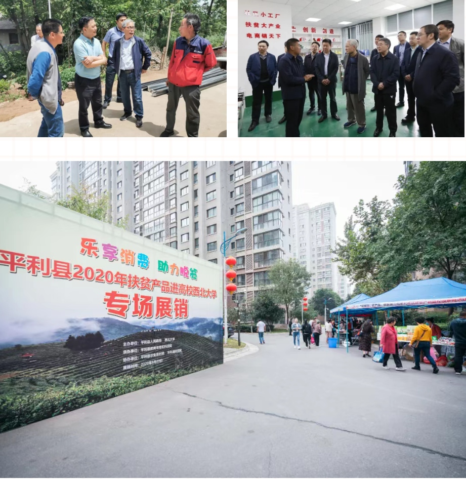 西北大学2020年十大新闻