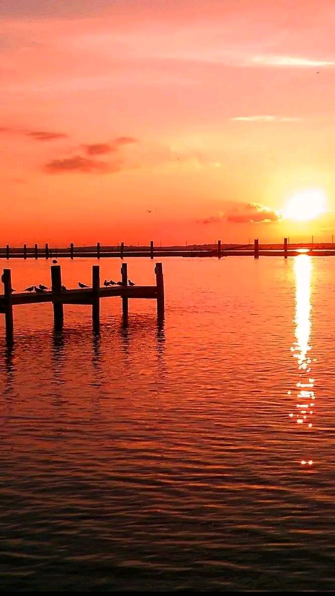 夕阳有诗情，黄昏有画意，但得夕阳无限好，何须惆怅怨黄昏