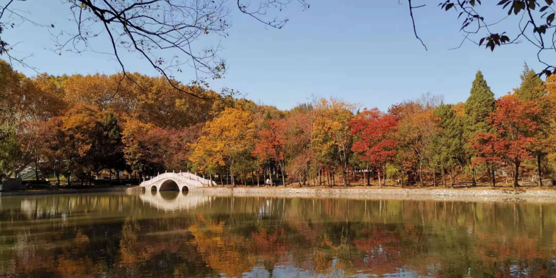 南京理工大学2021年计算机专业考研信息简介